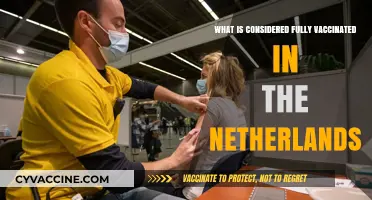 Fully Vaccinated in the Netherlands: Current Requirements and Guidelines Explained