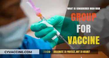 Identifying High-Risk Groups for Vaccines: Who Needs Priority Protection?