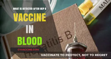 Hepatitis B Vaccine: Detecting Antibodies and Immunity in Blood Tests