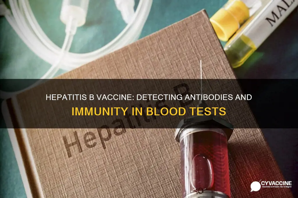 what is detected after hep b vaccine in blood