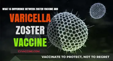 Zoster vs. Varicella Zoster Vaccine: Key Differences Explained