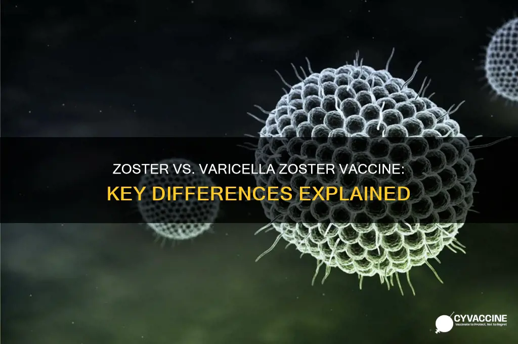 what is difference between zoster vaccine and varicella zoster vaccine