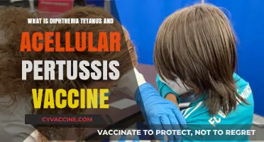 Understanding the Diphtheria, Tetanus, and Acellular Pertussis (DTaP) Vaccine