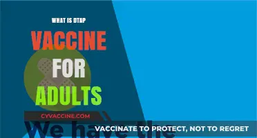 DTaP Vaccine for Adults: Essential Protection Against Diphtheria, Tetanus, and Pertussis
