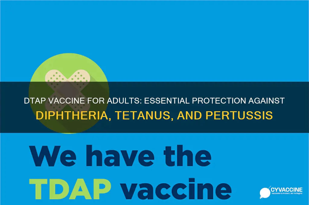 what is dtap vaccine for adults