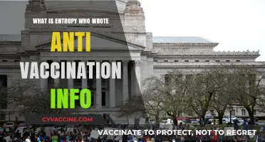 Unraveling Entropy and the Origins of Anti-Vaccination Misinformation
