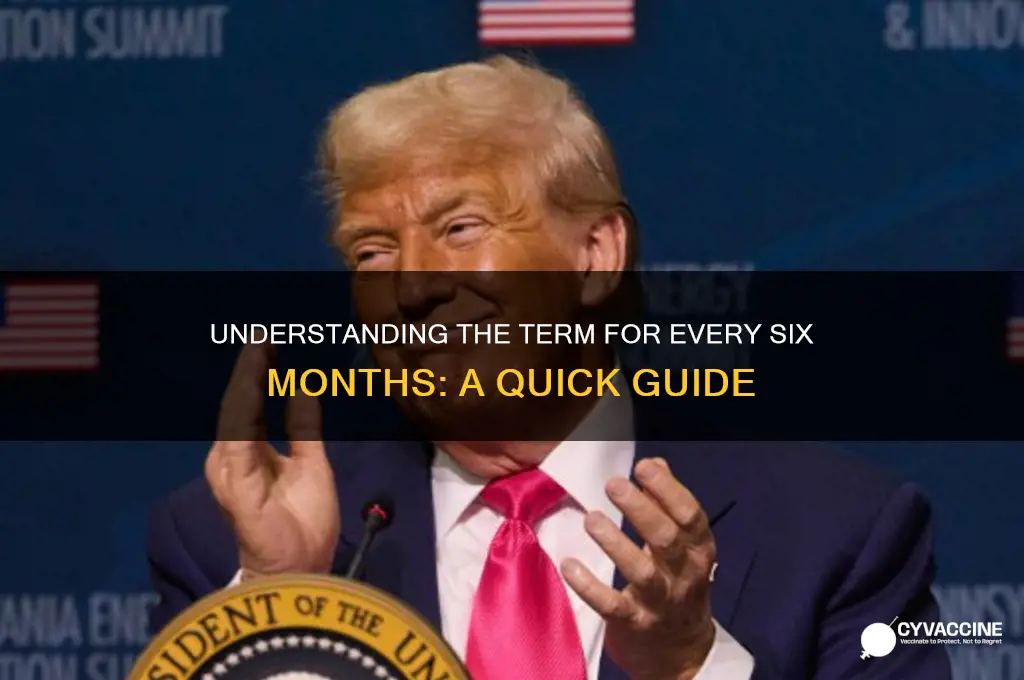 what is every 6 months called