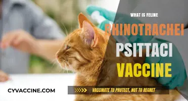 Understanding the Feline Rhinotracheitis-Calici-Panleukopenia-Chlamydia Psittaci Vaccine