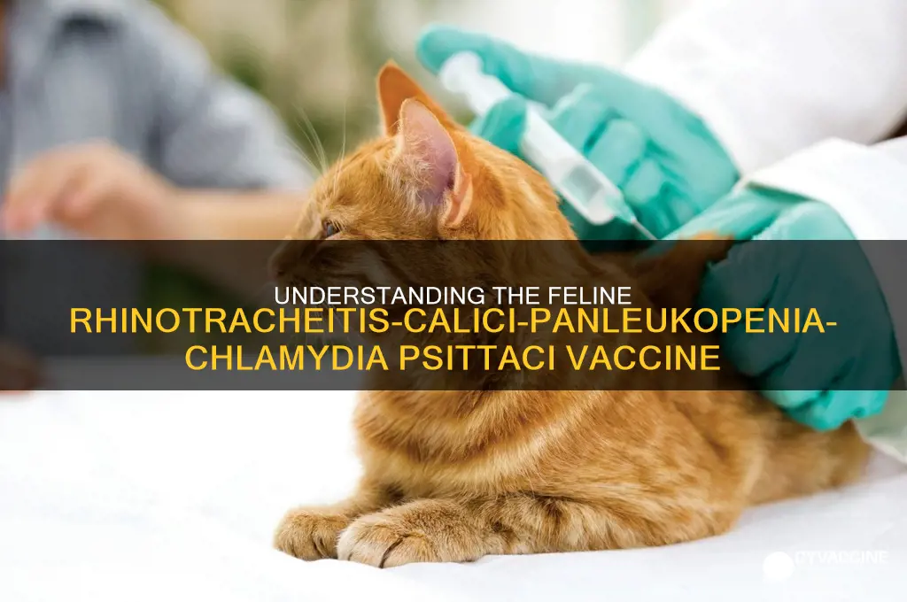 what is feline rhinotracheitis-calici-panleukopenia-chlamydia psittaci vaccine