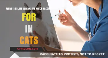 Understanding the Feline Ultranasal FVRCP Vaccine: Benefits and Uses