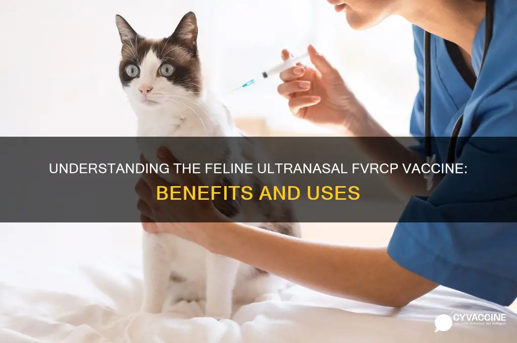 what is feline ultranasal fvrcp vaccine for in cats