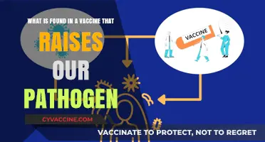 Understanding Vaccine Components: How They Boost Immunity Against Pathogens