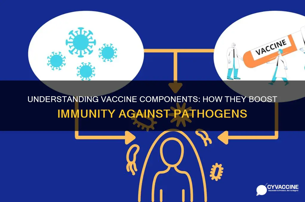 what is found in a vaccine that raises our pathogen