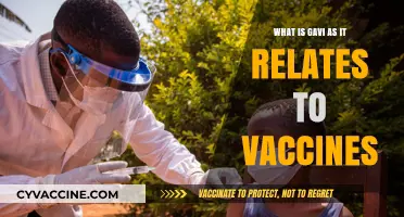 Understanding Gavi's Role in Global Vaccine Access and Equity