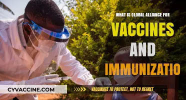 Understanding the Global Alliance for Vaccines and Immunization: A Comprehensive Guide