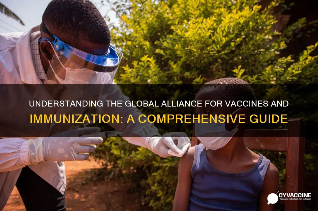 what is global alliance for vaccines and immunization
