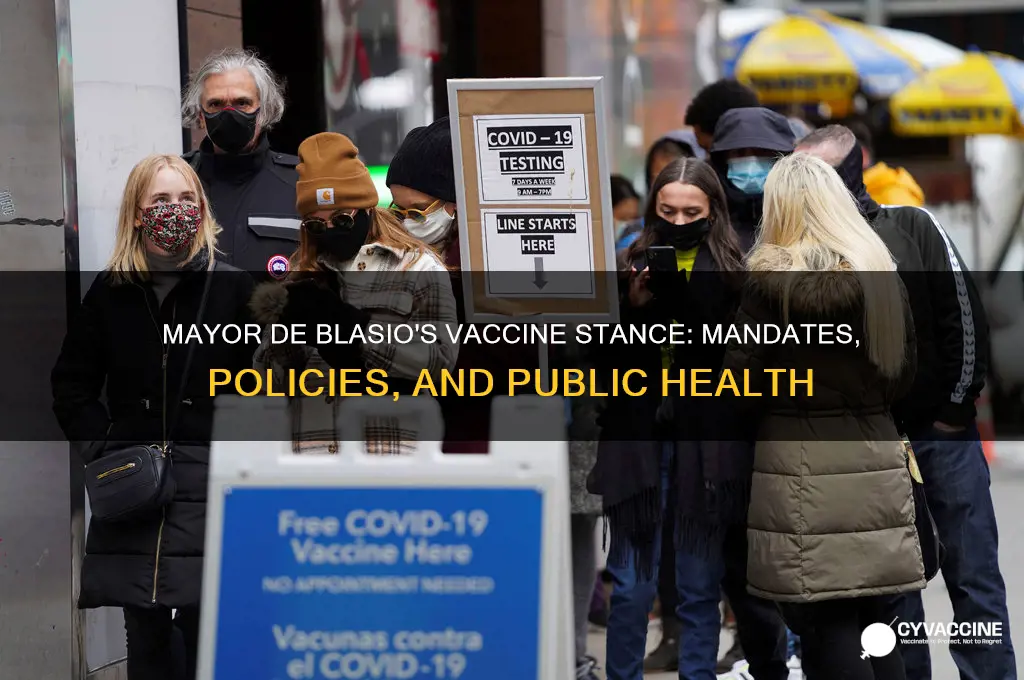 what is governor blasio