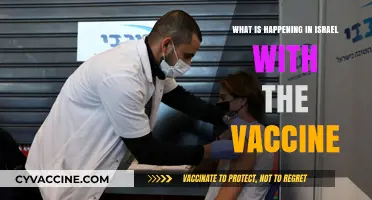 Israel's COVID-19 Vaccine Rollout: Progress, Challenges, and Global Impact