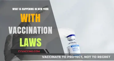 New York's Vaccination Laws: Updates, Changes, and Public Health Impact