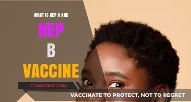 Hepatitis A and B Vaccines: Essential Protection for Liver Health
