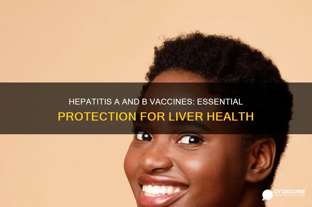 what is hep a and hep b vaccine
