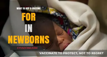 Hepatitis B Vaccine for Newborns: Protecting Infants from Birth