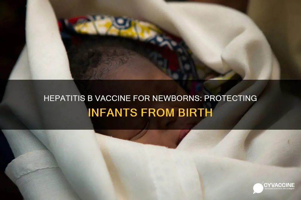 what is hep b vaccine for in newborns