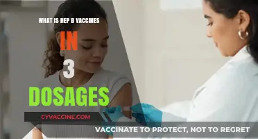 Understanding Hepatitis B Vaccination: The 3-Dose Schedule Explained