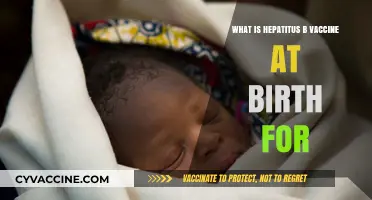 Hepatitis B Vaccine at Birth: Protecting Newborns from Liver Disease