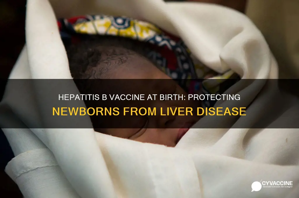 what is hepatitus b vaccine at birth for