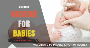 Understanding the Hib Vaccine: Protecting Babies from Haemophilus Influenzae