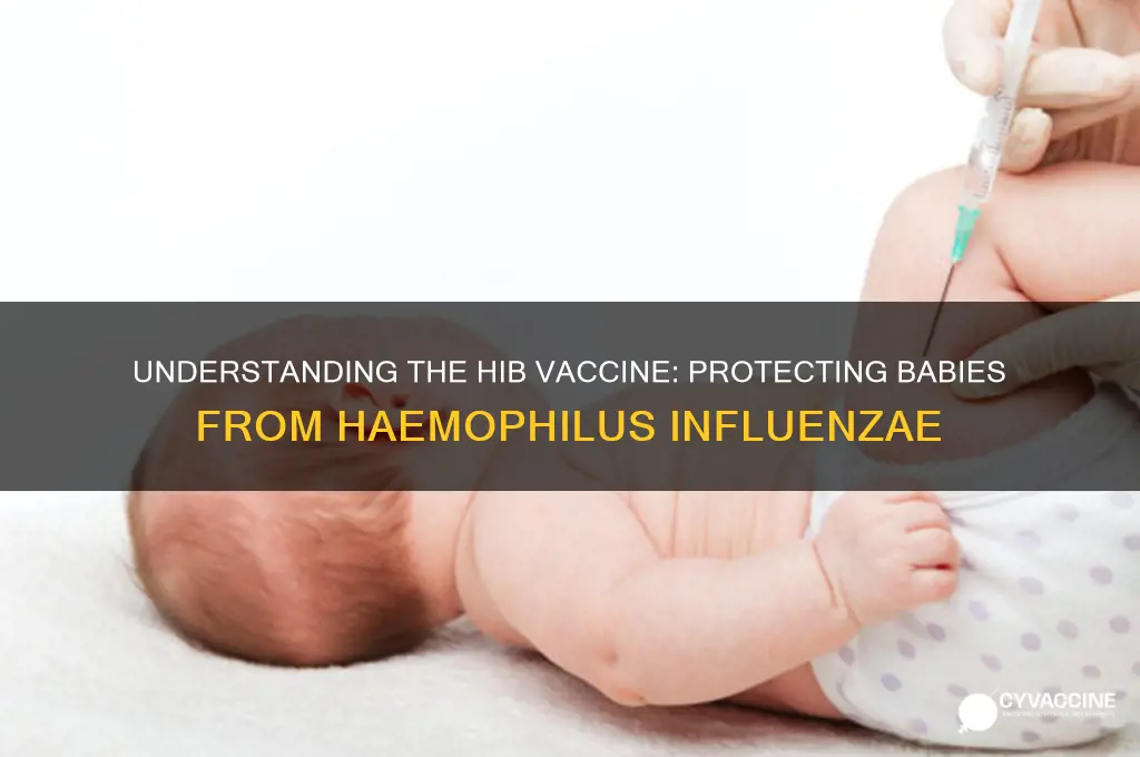 what is hib vaccine for babies