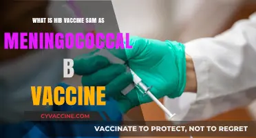 Hib vs. Meningococcal B Vaccine: Understanding the Differences and Similarities