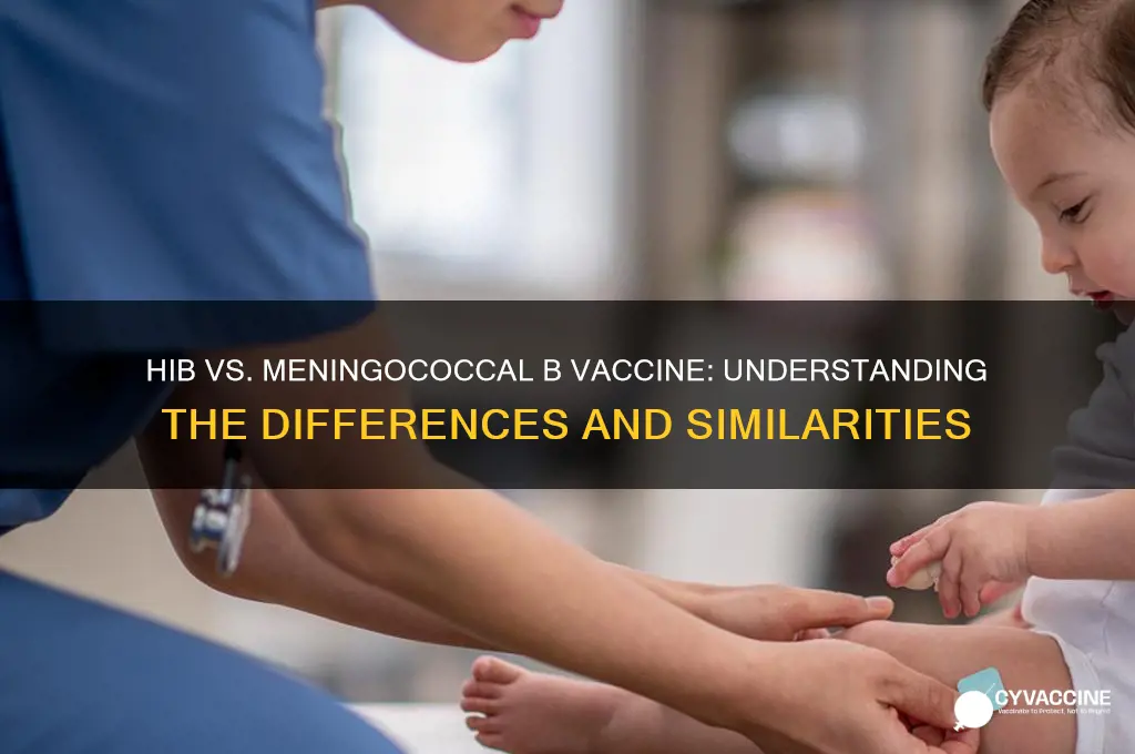 what is hib vaccine sam as meningococcal b vaccine