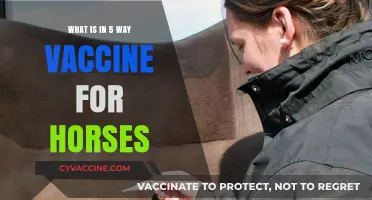 Understanding the Essential Components of the 5-Way Horse Vaccine