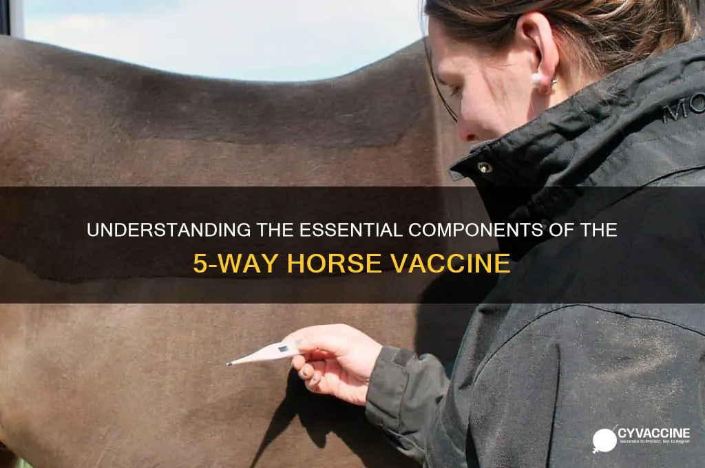 what is in 5 way vaccine for horses