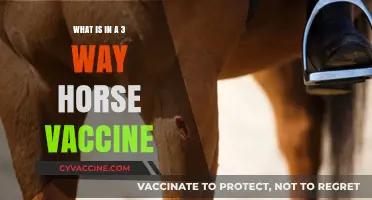 Understanding the Components of a 3-Way Horse Vaccine