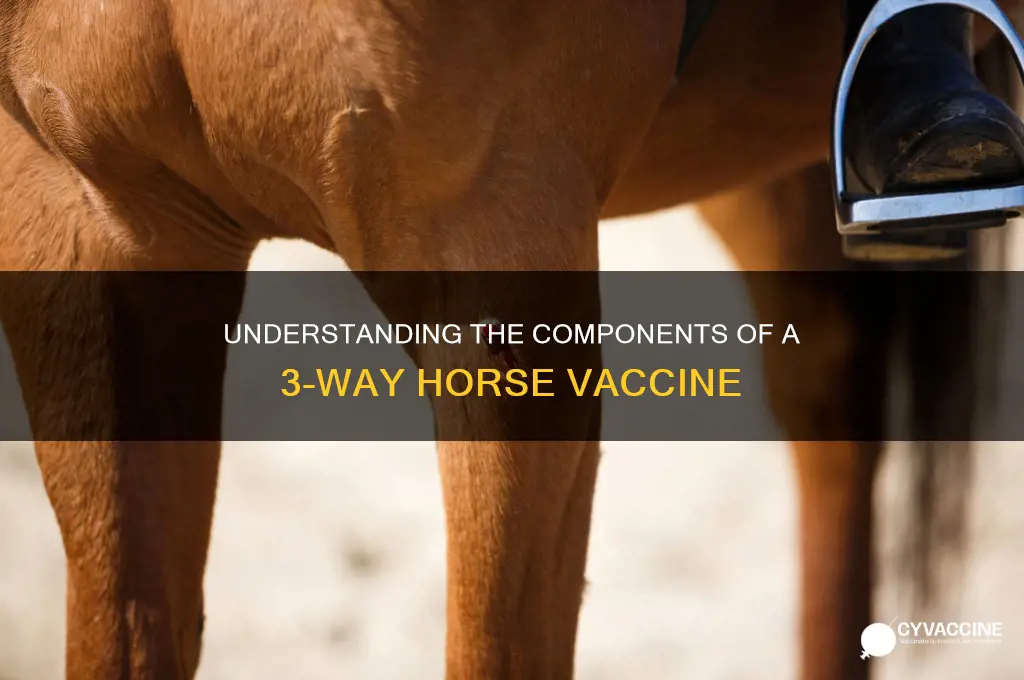 what is in a 3 way horse vaccine