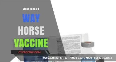 Understanding the Components of a 4-Way Horse Vaccine