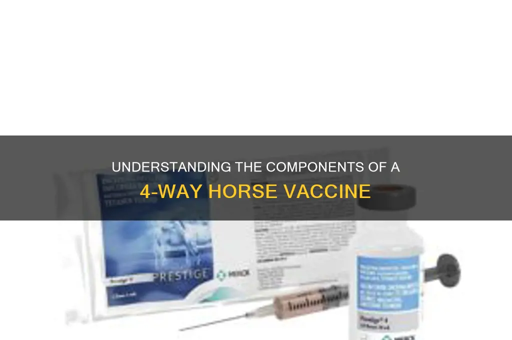 what is in a 4 way horse vaccine