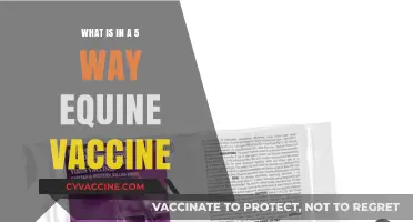 Equine Vaccines: 5-Way Protection for Horses
