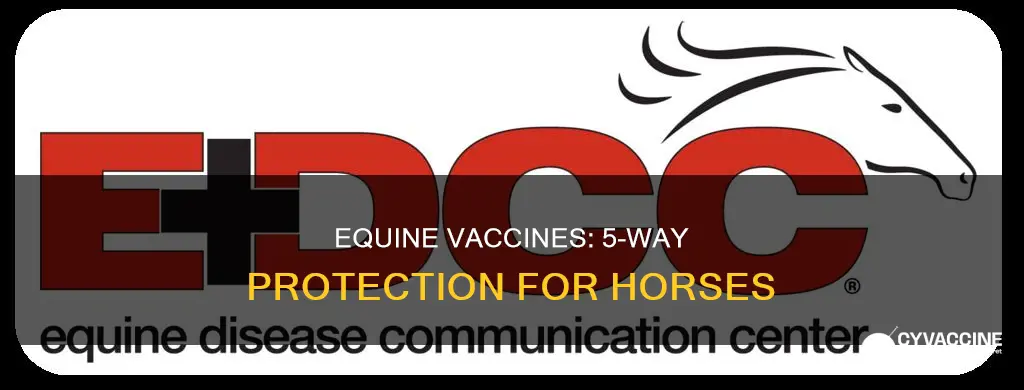 what is in a 5 way equine vaccine