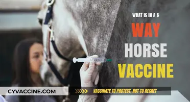 Understanding the Components of a 6-Way Horse Vaccine