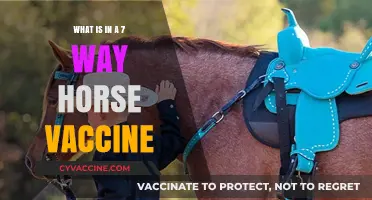 Understanding the Components of a 7-Way Horse Vaccine