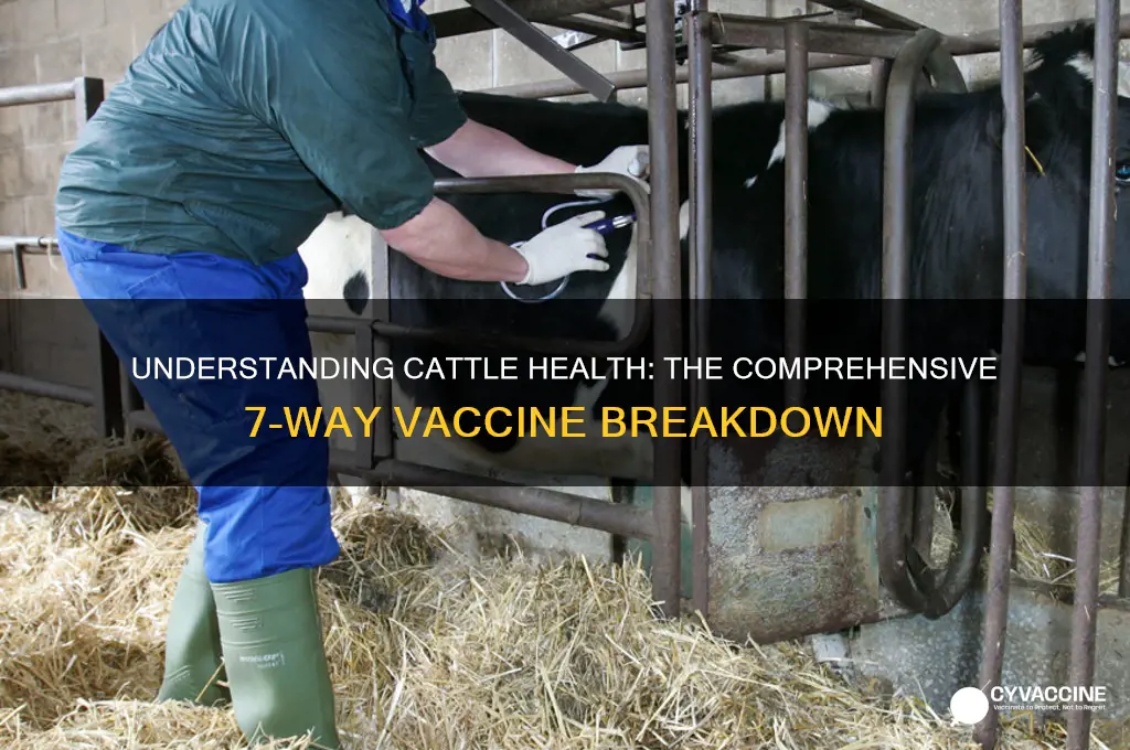 what is in a 7 way vaccine for cattle