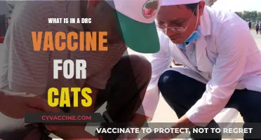 Understanding the DRC Vaccine: Essential Components for Feline Health Protection
