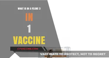 Understanding the Feline 3-in-1 Vaccine: Components and Benefits Explained