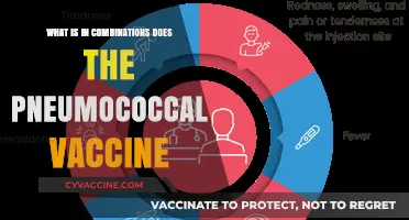 Understanding the Pneumococcal Vaccine: Key Components and Combinations Explained