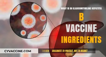 GlaxoSmithKline Hepatitis B Vaccine Ingredients: A Detailed Breakdown