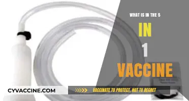 Understanding the 5-in-1 Vaccine: Components and Benefits Explained